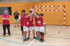 XII trobada de MiniHandbol