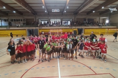 XII trobada de MiniHandbol