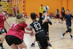 Partits
