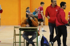 Partits
