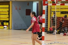 Partits