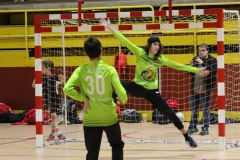 Partits